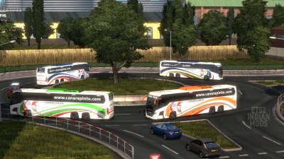 Indian Canara Pinto Skin Pack for Scania Touring v1.0