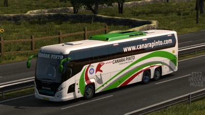 Indian Canara Pinto Skin Pack for Scania Touring v1.0