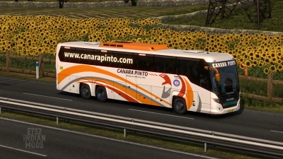 Indian Canara Pinto Skin Pack for Scania Touring v1.0