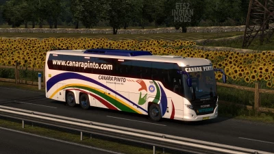 Indian Canara Pinto Skin Pack for Scania Touring v1.0
