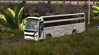 Indian SETC (Tamil Nadu) Skin Pack for JK Vega Sleeper Bus Mod v1.0