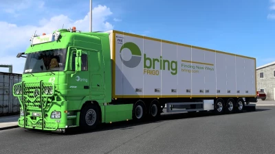 Mercedes Actros MP2 Bring Skin 1.45