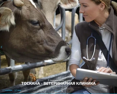 Toscana - Vet clinic v2.9