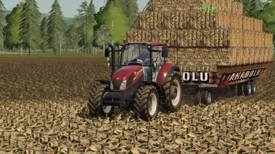 ANADOLU OTOMATİK TOPLAYICI PAKETİ V2.0