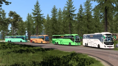 Indian SETC (Tamil Nadu) Skin Pack for DBMX Volvo 9800 UK v1.0