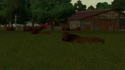 The Lost Corner v1.1.0.0