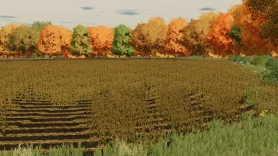 Graystone Farm (Row Crop Ready) v1.0.0.0