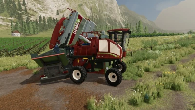 Lizard ViTiX0 v1.0.0.0