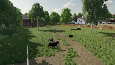 Map Neuerkirch v1.0.0.0