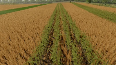 No Creek Farms Rowcrop Ready v1.0.0.0