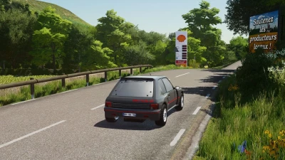 Peugeot 205 T16 Series 200 v1.0.0.0