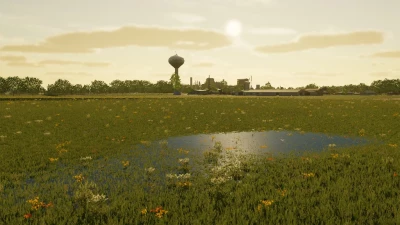 Real Dynamic Dirt v1.1.0.0