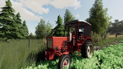 Vladimirac T25A Cab In C330 v1.0.0.0