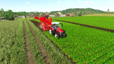 Grimme Rootster 604 Edited v1.0.0.0
