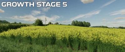 OSR/Canola Crop Textures v1.0.0.0