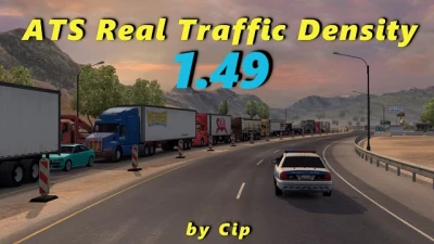 Real Traffic Density and Ratio by Cip 1.49.a