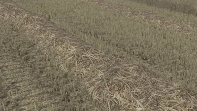 Straw Texture v1.0.0.0