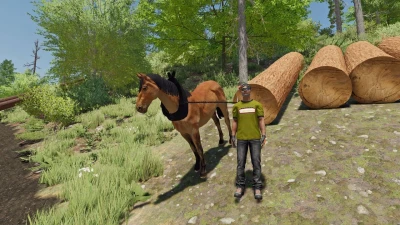 Horse for forestry v1.0.0.0