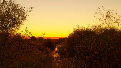 Med creek 16x v1.0.0.0