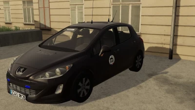 Peugeot 308 old generation RAID v2.0.0.0