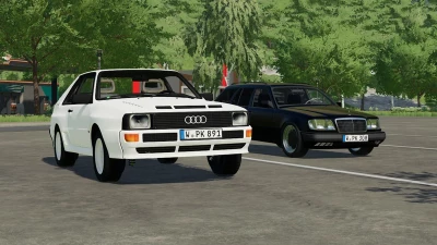 Audi 300 v1.0.0.0