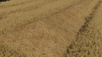 FS22 New straw texture v1.0.0.0