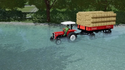 Tinaz Bales (Autoload) v1.0.0.0