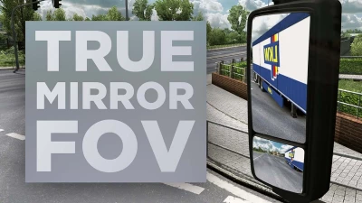 True Mirror FOV for ETS2 v1.46