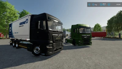 MAN TGX 2020 + Swap bodies Addon v1.0.0.0