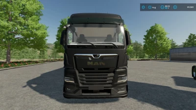 MAN TGX 2020 + Swap bodies Addon v1.0.0.0