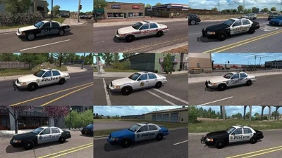 Municipal Police Pack in Traffic v1.16.2 1.47