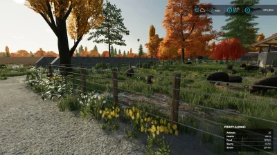 Elm Creek Edit 4x and Elm Creek Edit 4x Open By Stevie V1.0.0.7
