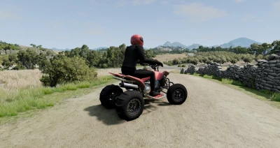 KTM 450 SX Quad v1.1