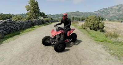 KTM 450 SX Quad v1.1