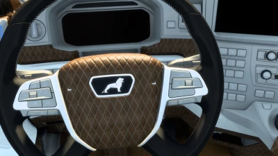 MAN TGX 2020 Custom Interior v1.0