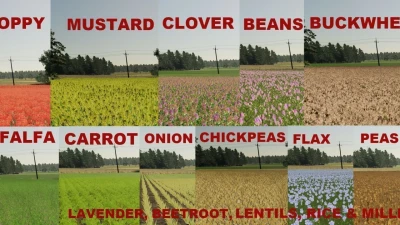 Rogatki Edit (Multifruit and Production) v2.7.2.0