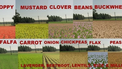 Rogatki Edit (Multifruit and Production) v2.7.3.0