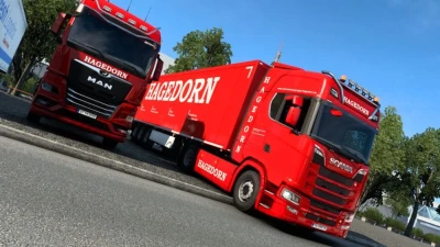 Scania S Hagedorn Combo Skin Pack v1.1