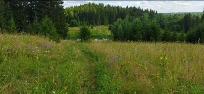 TAIGA MAP RELEASE v3.0