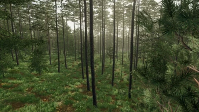 European Environment Sounds v1.0.0.0