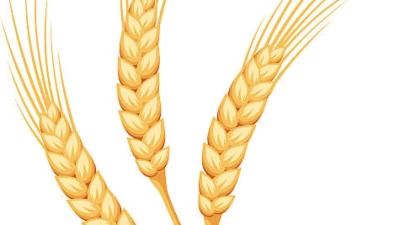 Multifruit pack for each map v1.0.0.0