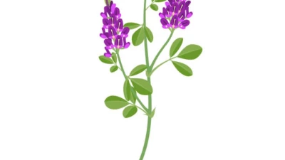 Multifruit pack for each map v1.0.0.0