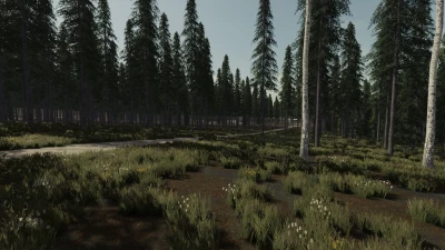 Ocean Side Forest v1.0.0.0