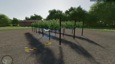 Red and White Grapes Orchards v1.1.1.1