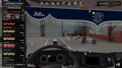 Scania S&R Curtains v1.0