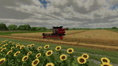 Beware Of Straw v1.0.1.2