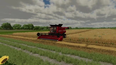 Beware Of Straw v1.0.1.2