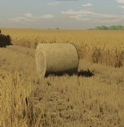 FS22 Barley and Wheat textures v1.0.0.0