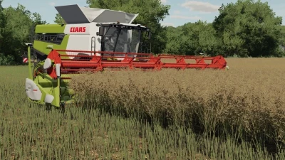 FS22 Rapeseed Texture v1.0.0.0