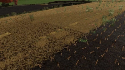 Texture of manure on stubble v1.0.0.0
